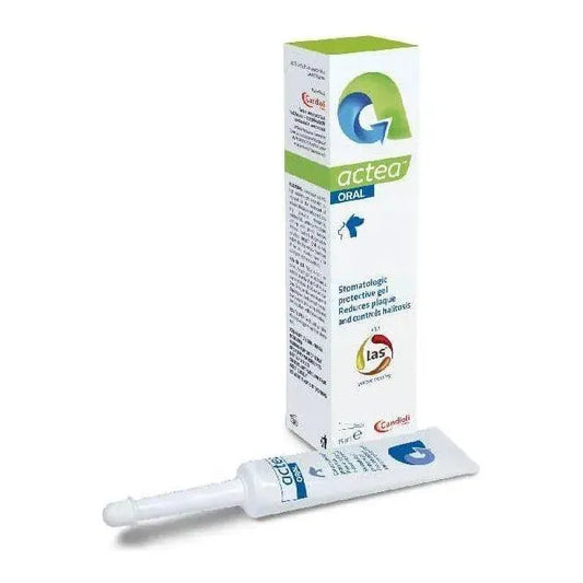 Actea Oral - Hund/Katze - Gel - Alfavet - Marigin AG Onlineshop für Tierbedarf Actea Oral - Hund/Katze - Gel - Gel / 15ml Pflegeprodukte