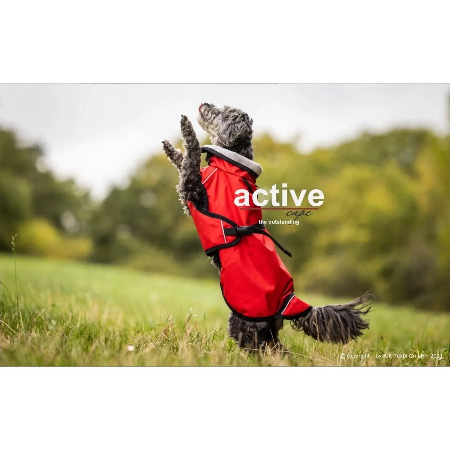 Active Cape Light mini - Action Factory - Art:Wasser- und windabweisender Mantel, Art:wärmender Mantel, Tierart:Hund - Marigin AG Onlineshop für Tierbedarf