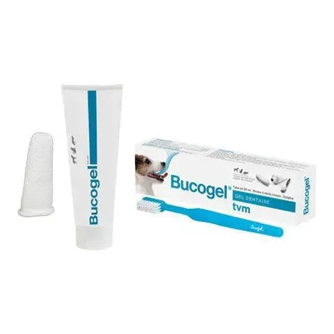 TVM Bucogel Zahnpflege Set - Hund/Katze von tvm lab – Marigin AG ...