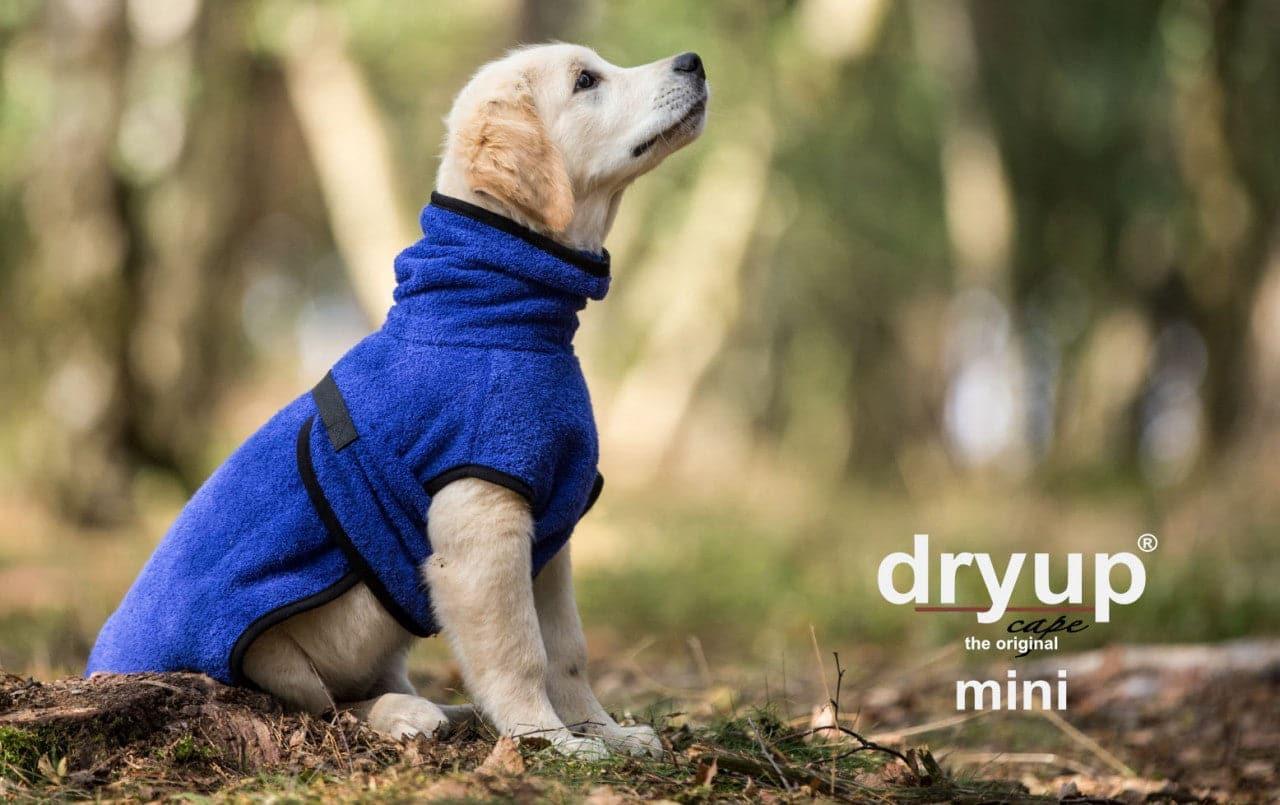 Dryup Cape Mini - Action Factory - Art:Bademantel, Tierart:Hund - Marigin AG Onlineshop für Tierbedarf