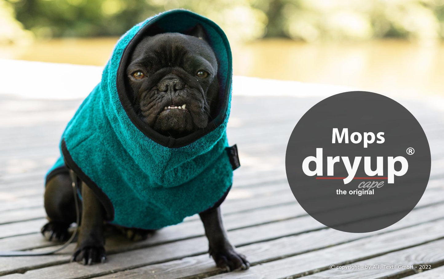 Dryup Cape Mops & co. - Action Factory - Art:Bademantel, Tierart:Hund - Marigin AG Onlineshop für Tierbedarf