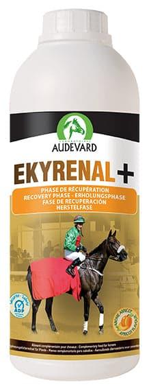 Ekyrenal + - Audevard - Darreichungsform:Flüssigkeit, Ergänzungsfuttermittel:Erholung, Ergänzungsfuttermittel:Leber, Ergänzungsfuttermittel:Niere, Tierart:Pferd - Marigin AG Onlineshop für Tierbedarf