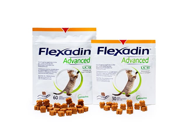 Flexadin Advanced Katze
