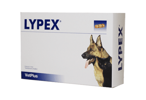 Lypex - VetPlus - Alter:Adult, Alter:Senior, Darreichungsform:Kapseln, Ergänzungsfuttermittel:Bauchspeicheldrüse, Tierart:Hund, Tierart:Katze - Marigin AG Onlineshop für Tierbedarf