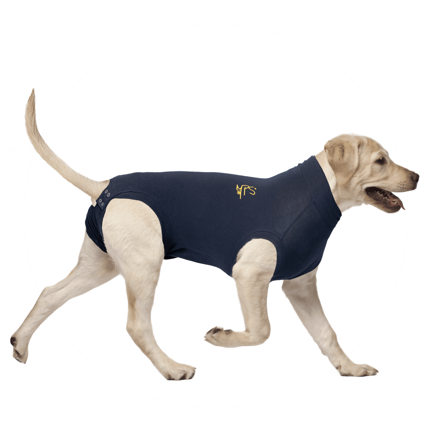 Medical Pet Shirt - Marigin AG - Tierart:Hund, Tierart:Katze - Marigin AG Onlineshop für Tierbedarf