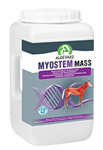 Myostem Mass - Audevard - Darreichungsform:Granulat, Ergänzungsfuttermittel:Muskulatur, Hersteller:Audevard, Tierart:Pferd - Marigin AG Onlineshop für Tierbedarf