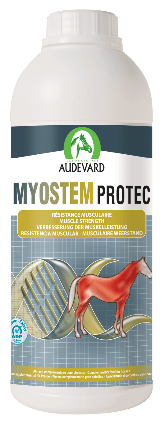 Myostem Protec - Audevard - Darreichungsform:Flüssigkeit, Ergänzungsfuttermittel:Muskulatur, Hersteller:Audevard, Tierart:Pferd - Marigin AG Onlineshop für Tierbedarf