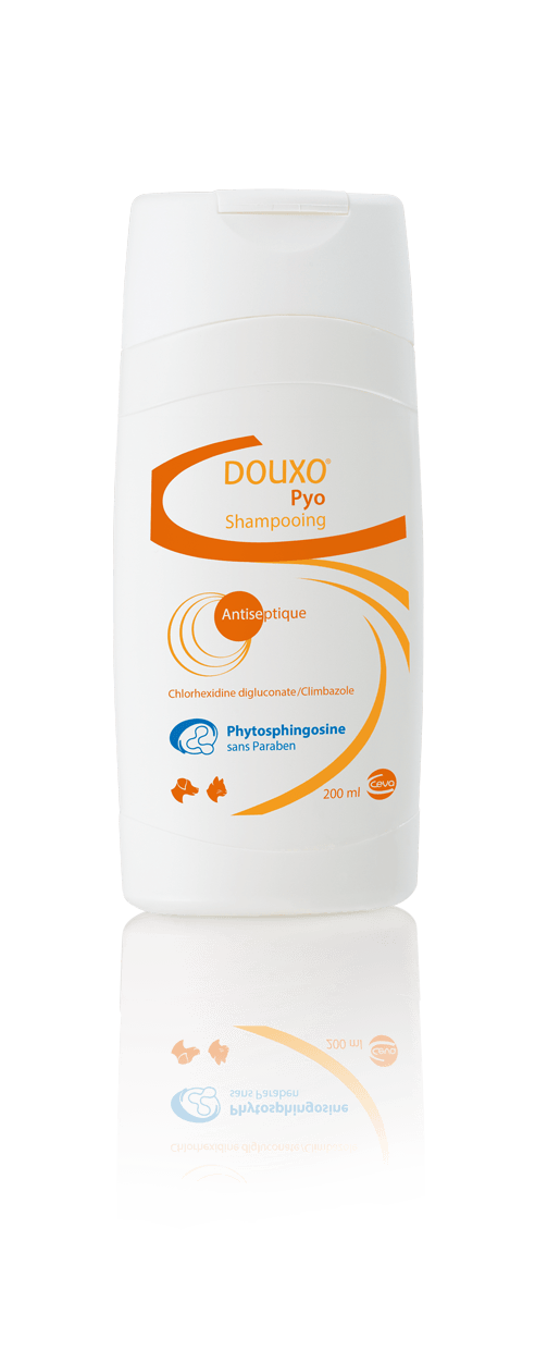 Pyo S3 Shampoo - Douxo - Darreichungsform:Shampoo, Pflegeprodukte:Hautpflege/Shampoo, Tierart:Hund, Tierart:Katze - Marigin AG Onlineshop für Tierbedarf