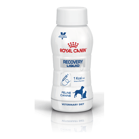 Recovery Liquid Canine Feline von Royal Canin Veterinary Diet f r