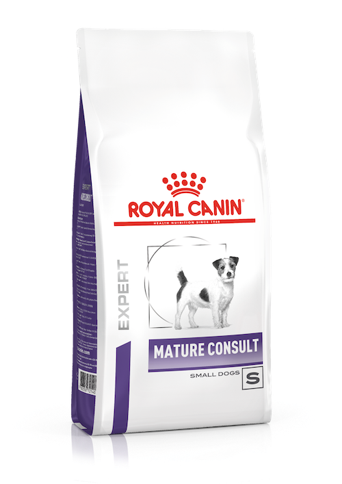 MATURE CONSULT SMALL DOGS