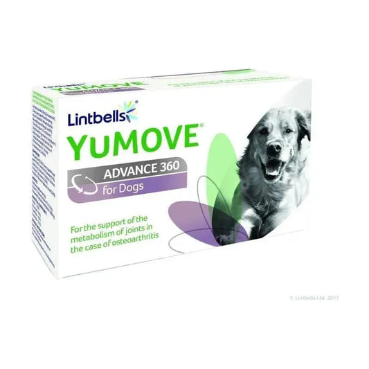YuMOVE Advance 360 for Dogs - Lintbells - Marigin AG Onlineshop für Tierbedarf YuMOVE Advance 360 for Dogs - 120 Tabletten Ergänzungsfuttermittel