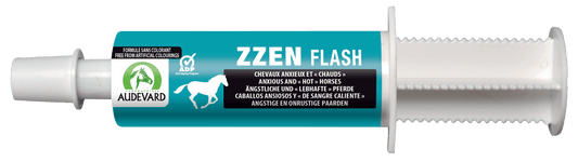 Zzen Flash - Audevard - Ergänzungsfuttermittel:Verhalten & Stress, Hersteller:Audevard, Tierart:Pferd - Marigin AG Onlineshop für Tierbedarf